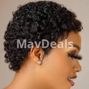 Short Kinky Curly Human Wig